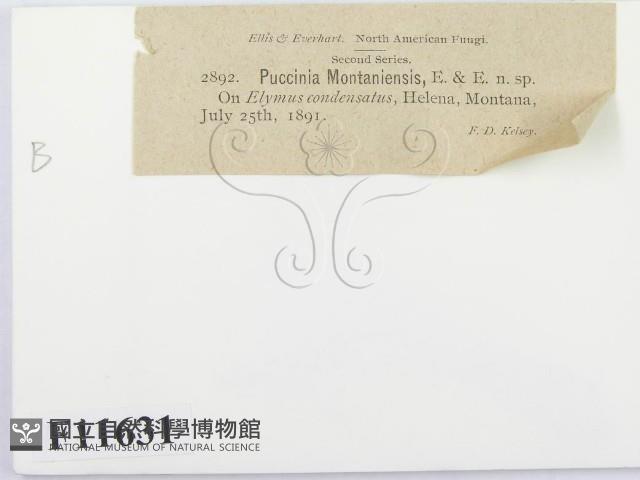 登錄號:F0011631藏品圖，第3張