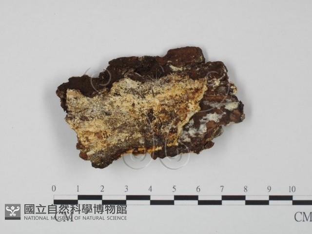 登錄號:F0009631藏品圖，第1張