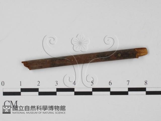 登錄號:F0019631藏品圖，第1張