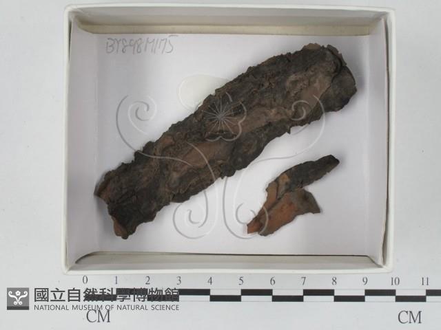 登錄號:F0018431藏品圖，第1張