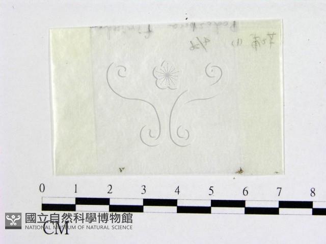 登錄號:F0000731藏品圖，第1張