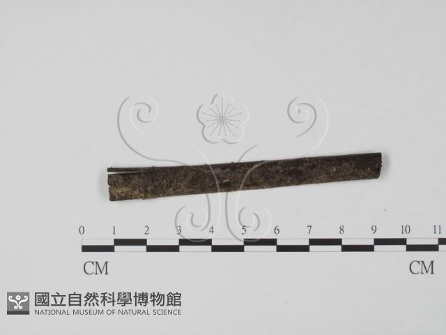 登錄號:F0007731藏品圖，第1張