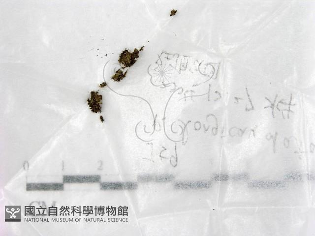 登錄號:F0017731藏品圖，第1張