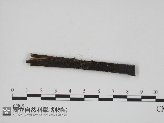 登錄號:F0004131藏品圖，第1張