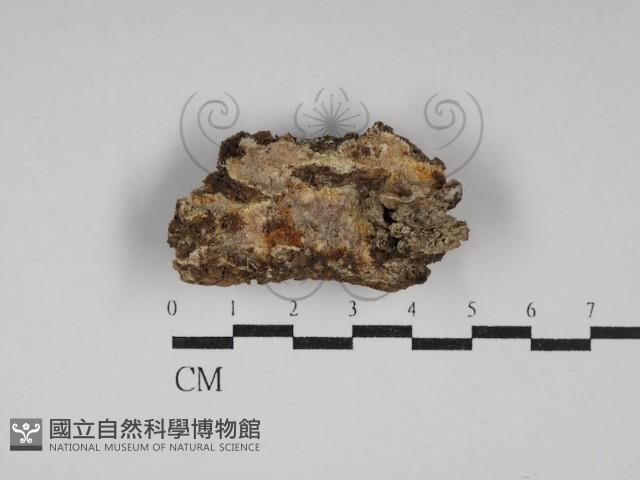 登錄號:F0030031藏品圖，第1張