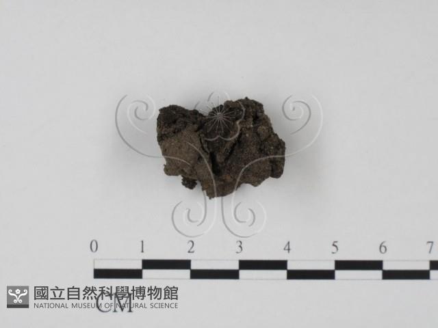 登錄號:F0022031藏品圖，第1張