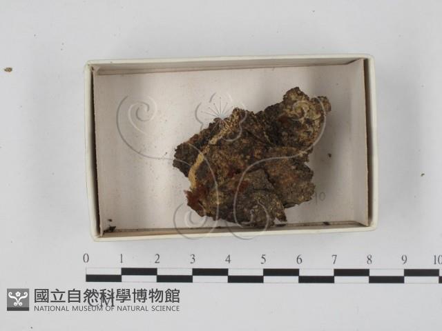 登錄號:F0018331藏品圖，第1張
