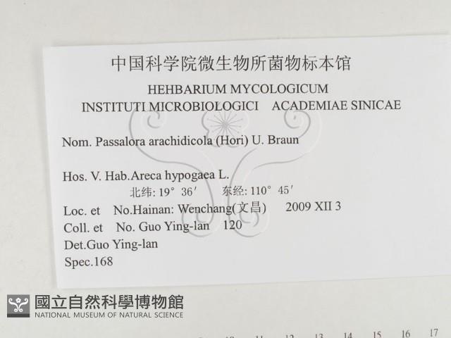 登錄號:F0026331藏品圖，第3張
