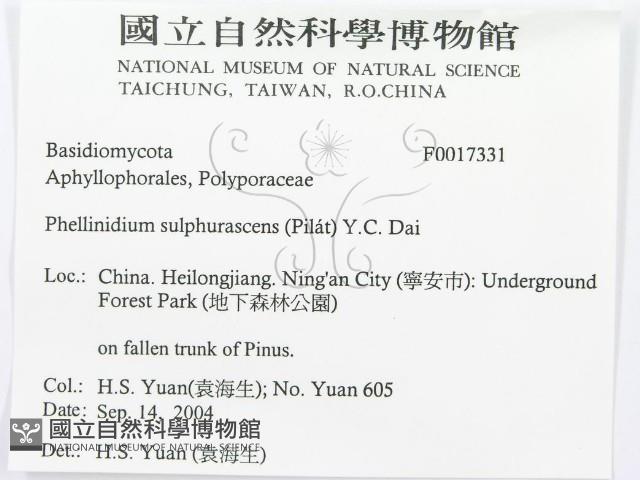 登錄號:F0017331藏品圖，第3張