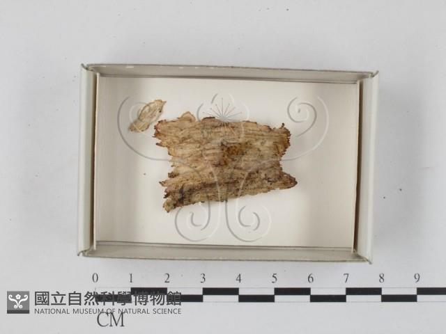 登錄號:F0018271藏品圖，第1張