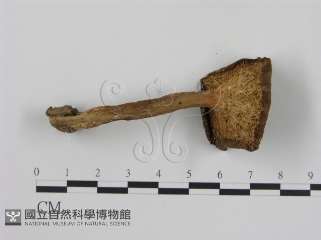 登錄號:F0002271藏品圖，第1張