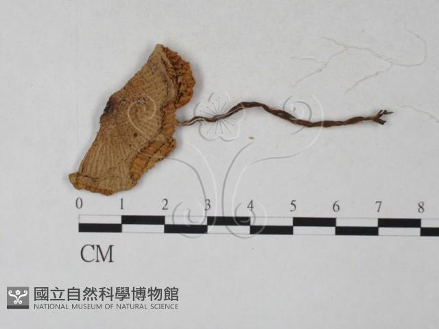 登錄號:F0027271藏品圖，第1張