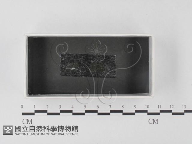 登錄號:F0023271藏品圖，第1張