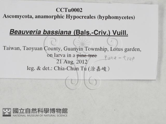 登錄號:F0027871藏品圖，第3張