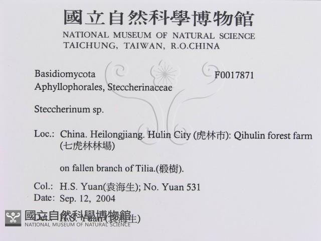 登錄號:F0017871藏品圖，第3張