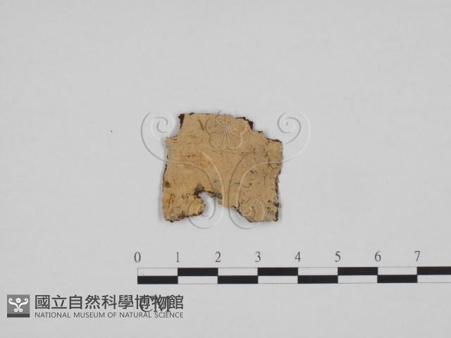 登錄號:F0023871藏品圖，第1張