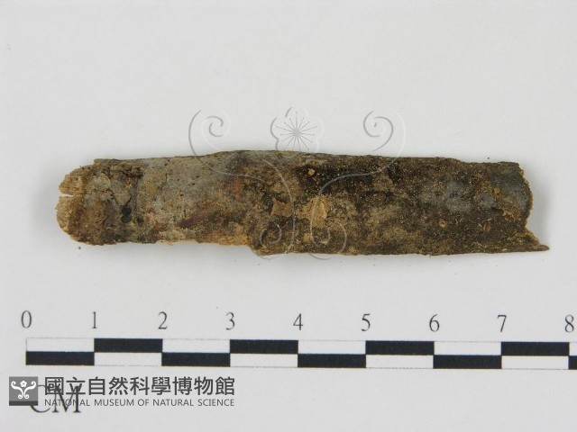 登錄號:F0008971藏品圖，第1張