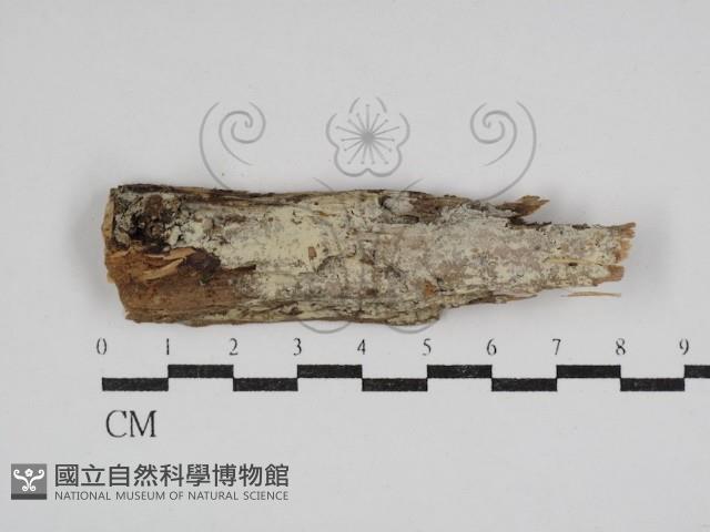 登錄號:F0030971藏品圖，第1張