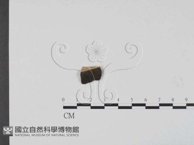 登錄號:F0011971藏品圖，第1張