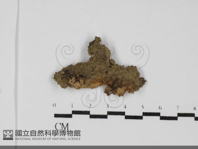 登錄號:F0031971藏品圖，第1張