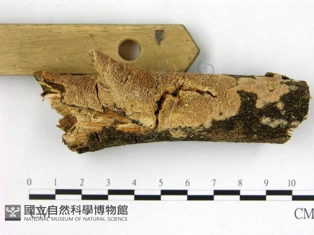 登錄號:F0022671藏品圖，第1張