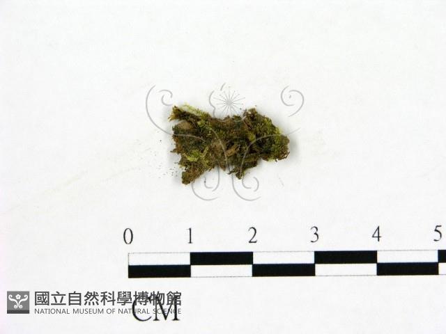 登錄號:F0003671藏品圖，第1張