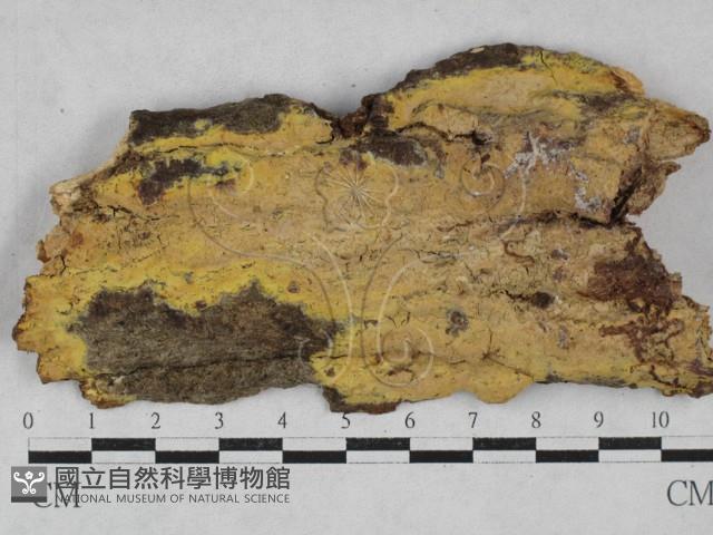 登錄號:F0028471藏品圖，第1張