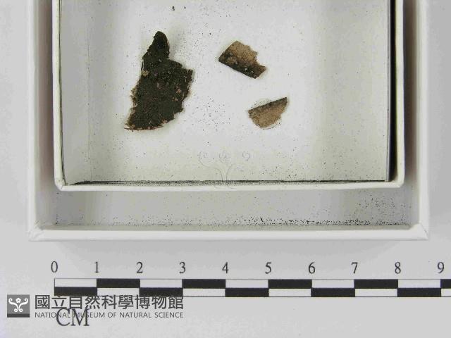 登錄號:F0021471藏品圖，第1張