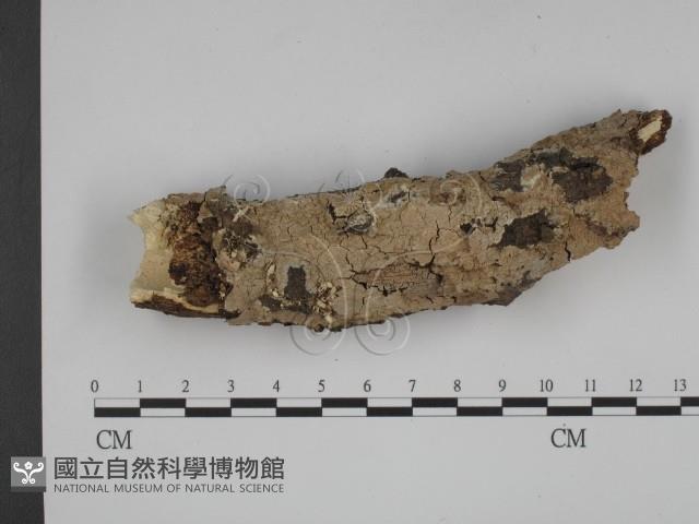 登錄號:F0001471藏品圖，第1張