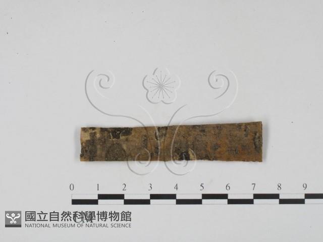 登錄號:F0011471藏品圖，第1張