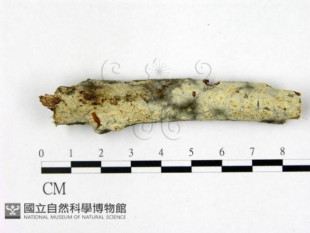 登錄號:F0022471藏品圖，第1張