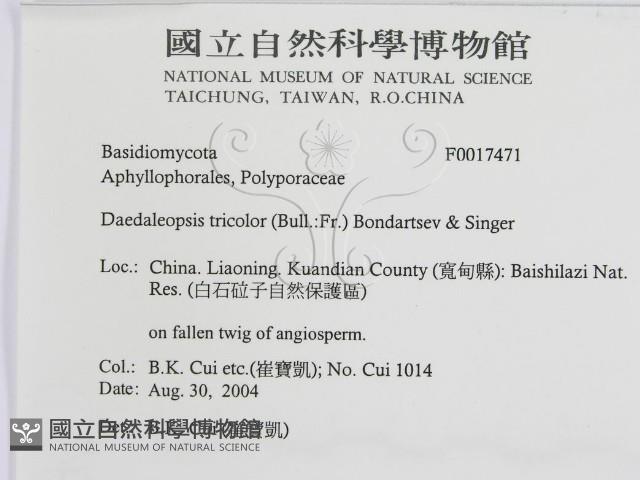 登錄號:F0017471藏品圖，第3張