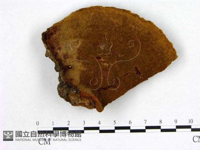 登錄號:F0018771藏品圖，第1張