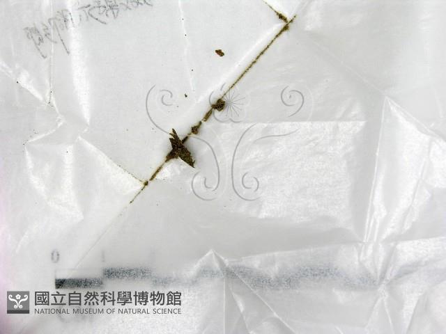登錄號:F0020771藏品圖，第1張