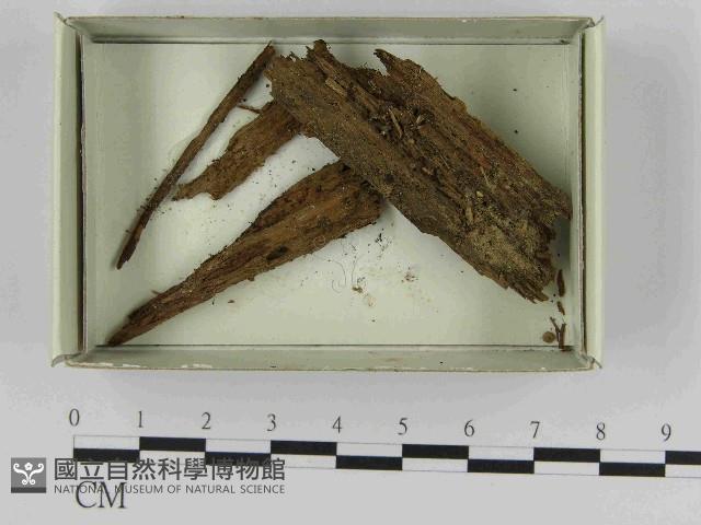登錄號:F0021571藏品圖，第1張