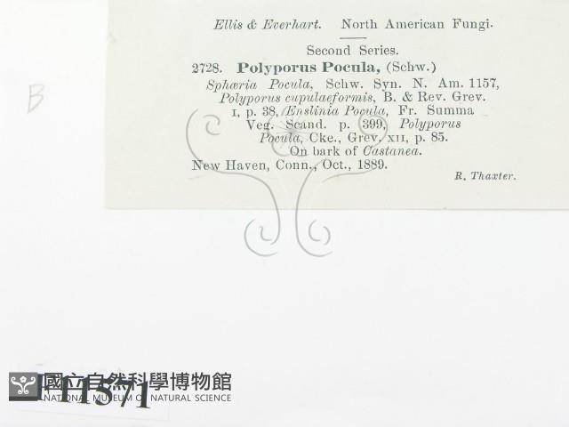 登錄號:F0011571藏品圖，第3張