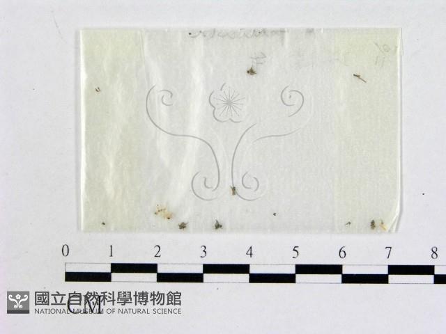 登錄號:F0002571藏品圖，第1張