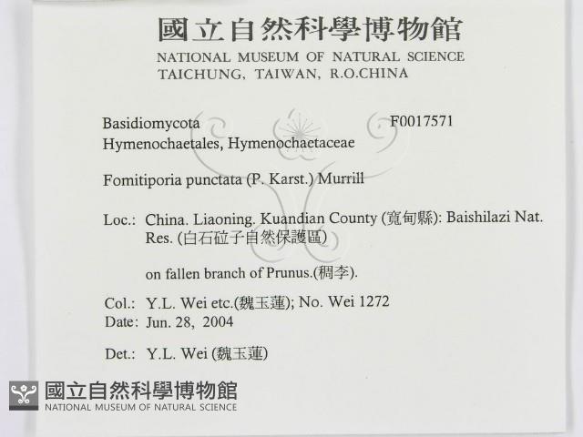 登錄號:F0017571藏品圖，第3張