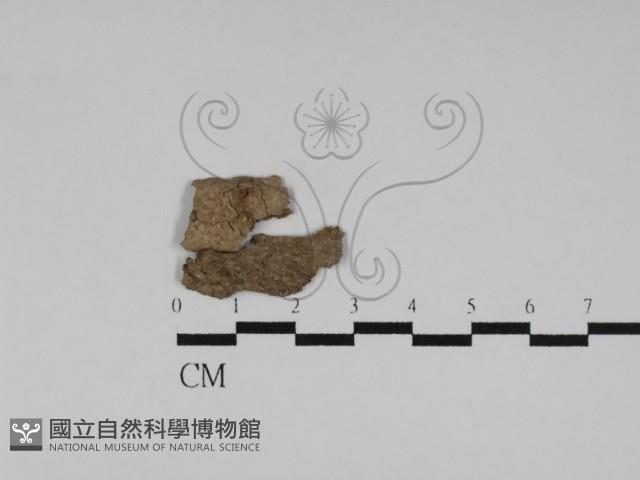 登錄號:F0031171藏品圖，第1張