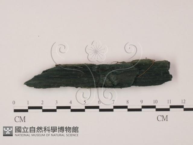 登錄號:F0007171藏品圖，第1張