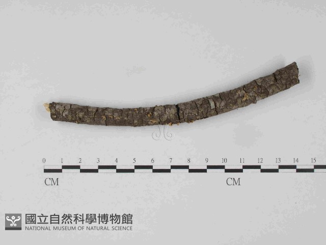 登錄號:F0024071藏品圖，第1張