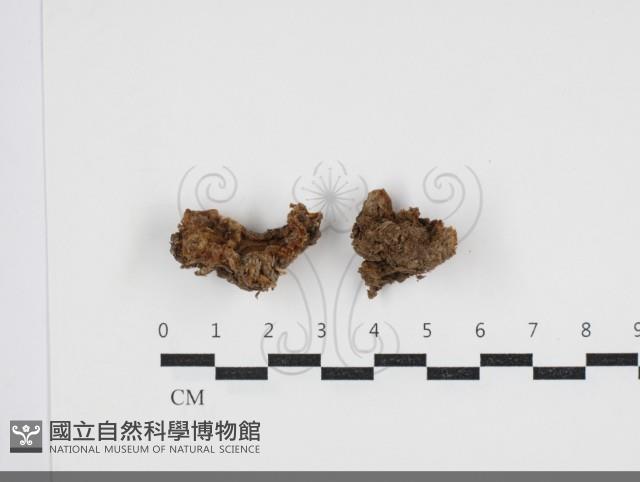 登錄號:F0034071藏品圖，第1張