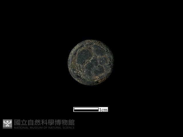 圍棋子藏品圖，第2張