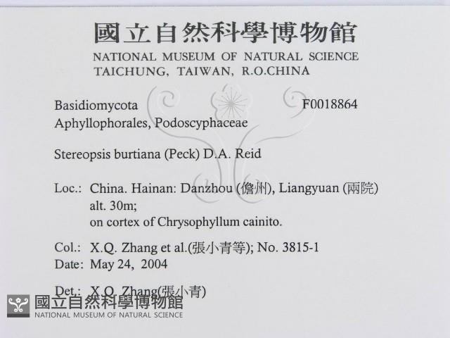 登錄號:F0018864藏品圖，第3張