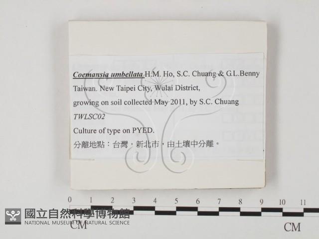 登錄號:F0025864藏品圖，第1張