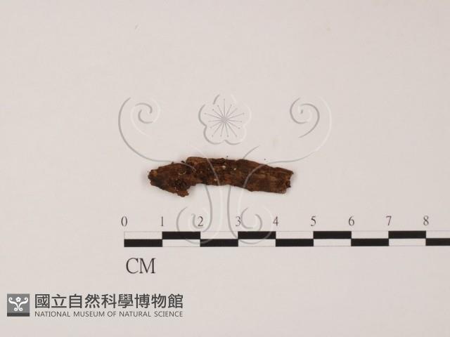 登錄號:F0009864藏品圖，第1張