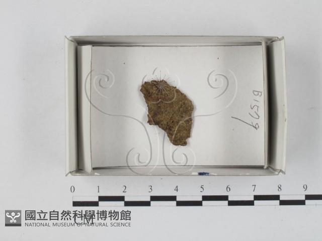 登錄號:F0019864藏品圖，第1張