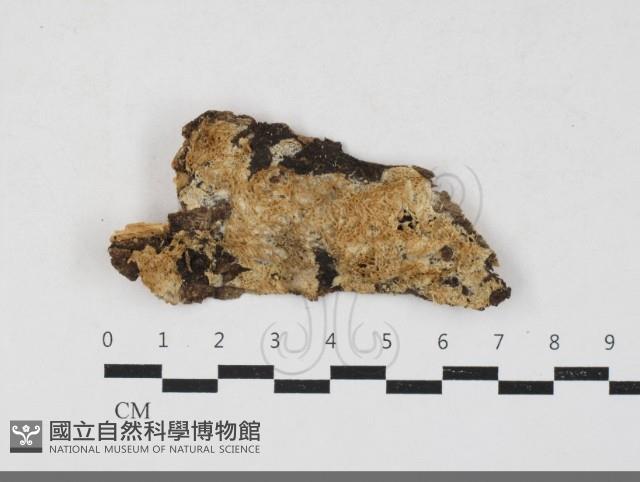 登錄號:F0033864藏品圖，第1張