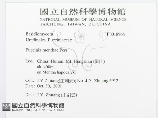 登錄號:F0018964藏品圖，第3張