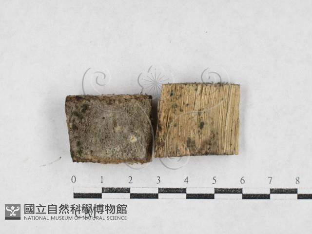 登錄號:F0026964藏品圖，第1張